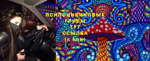 ПСИЛОЦИБИНОВЫЕ ГРИБЫ Абинск