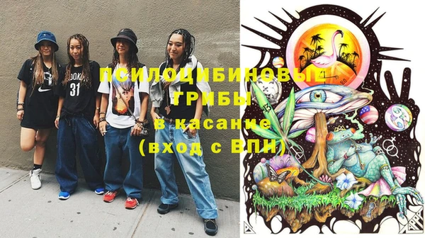 прущий лед Абаза