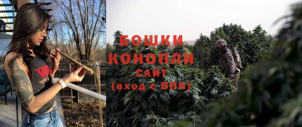 крисы Абдулино