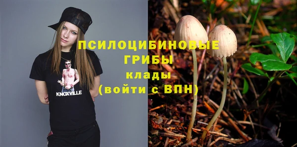 крисы Абдулино