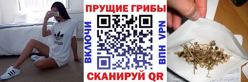 Галлюциногенные грибы MAGIC MUSHROOMS мориарти какой сайт Сальск как найти закладки