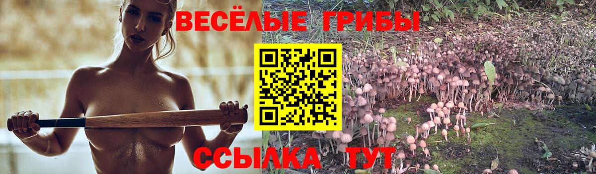 Галлюциногенные грибы MAGIC MUSHROOMS Сальск