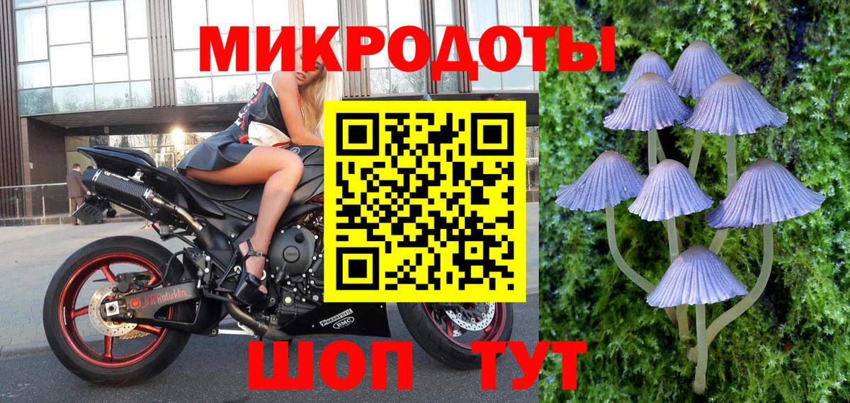 Галлюциногенные грибы ЛСД  Вход с VPN  Сальск 