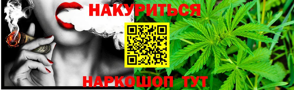 Бошки Шишки сатива Сальск